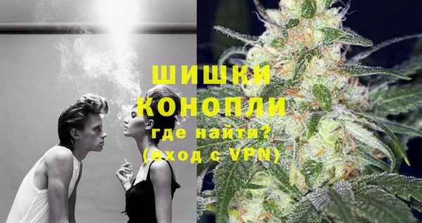 амф Аркадак
