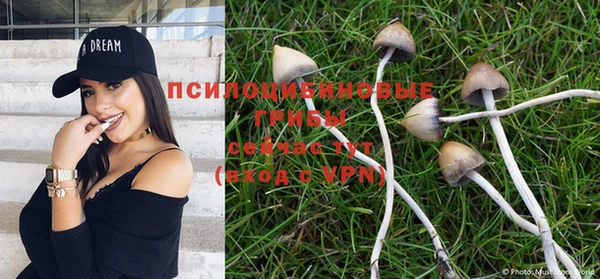 ешки Балабаново