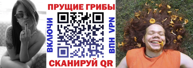 Псилоцибиновые грибы Psilocybine cubensis  Венёв 